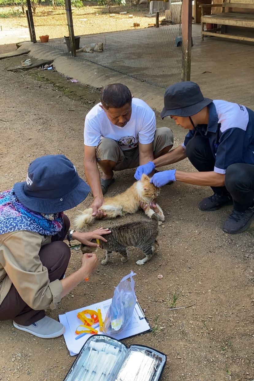 Vaksinasi Rabies di Desa Bumi Jaya: 113 Hewan Divaksinasi, Lindungi Hewan dan Manusia dari Rabies