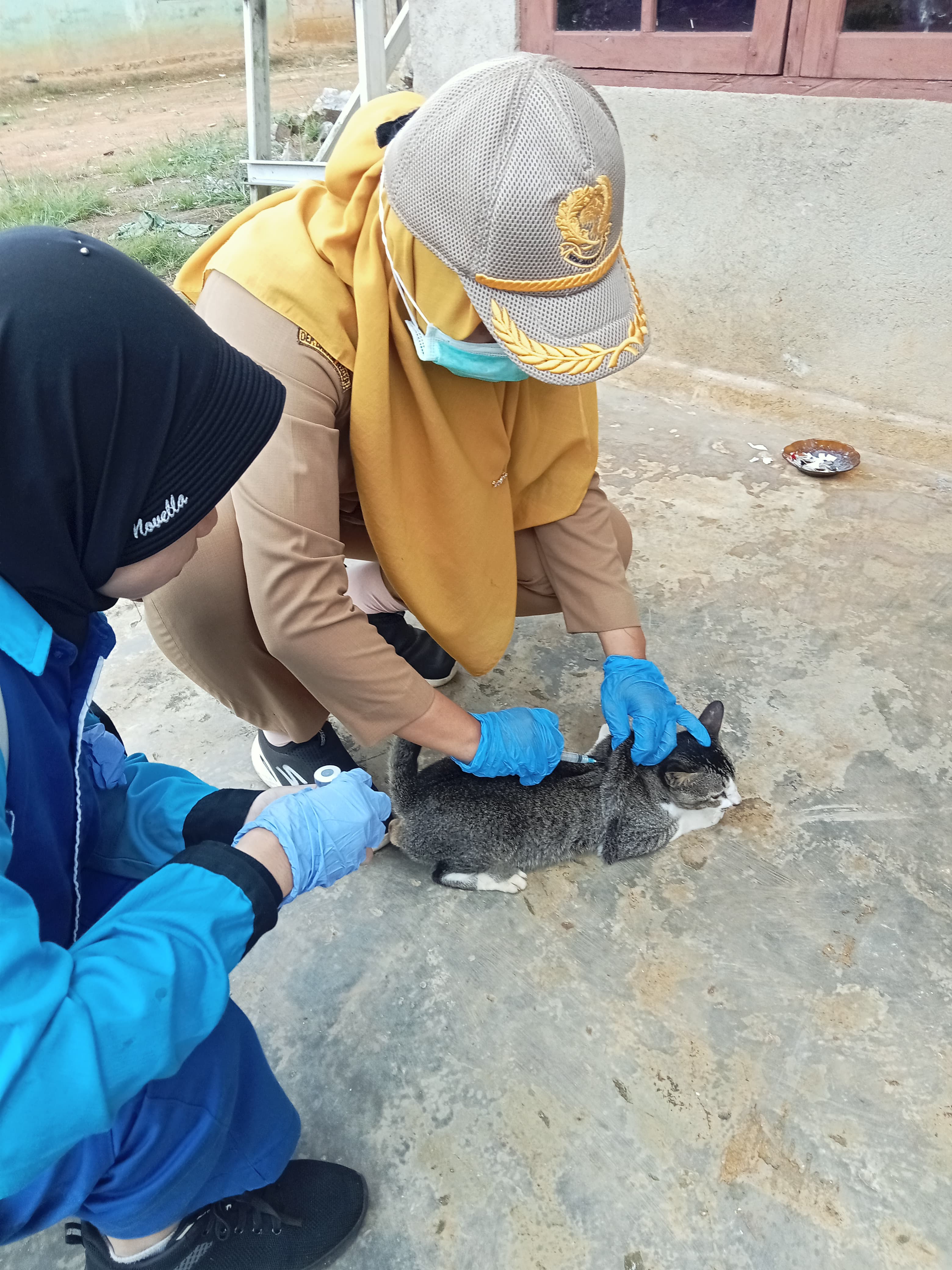 UPAYA PENCEGAHAN RABIES, DINAS PETERNAKAN DAN KESEHATAN HEWAN LAKSANAKAN VAKSINASI DI DESA SUKARAMAH