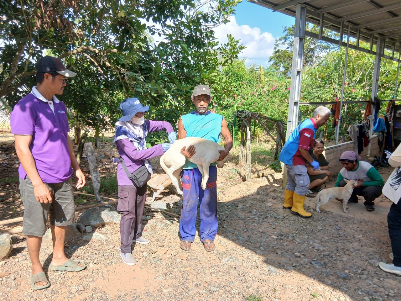 Pelayanan Kesehatan Hewan di Desa Tajau Pecah: Vaksinasi Rabies dan Pengobatan Darurat