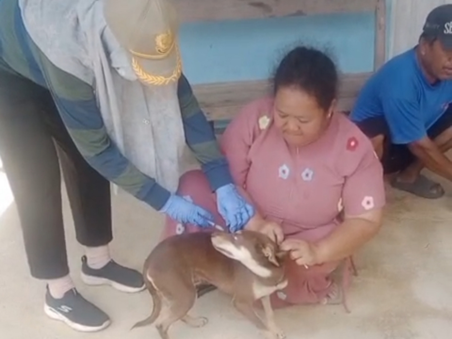 Vaksinasi Rabies di Desa Batu Mulya: Lindungi Hewan Peliharaan dan Cegah Penyebaran Penyakit
